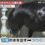 レス2番の画像サムネイル