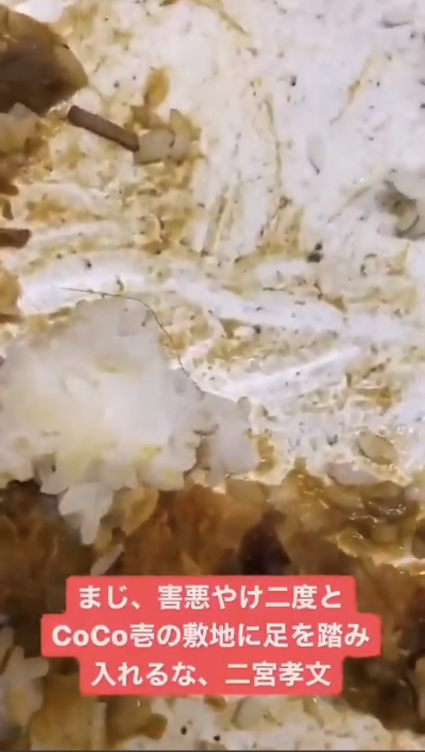 レス7番の画像サムネイル