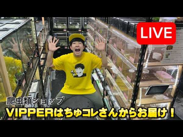 記事サムネイル