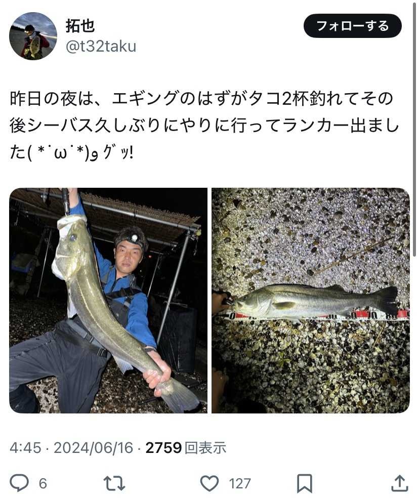 レス38番の画像1