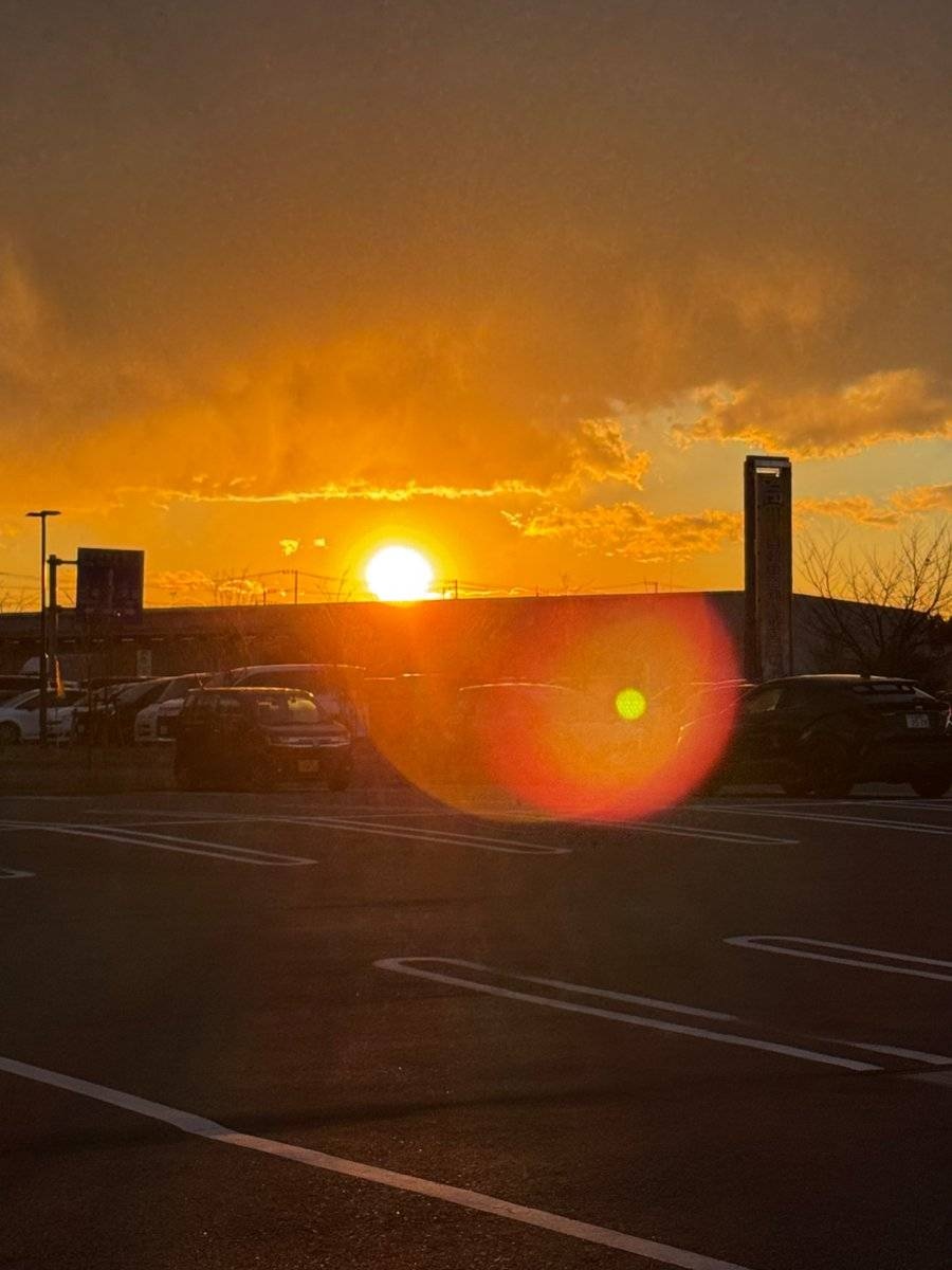 レス20番の画像1