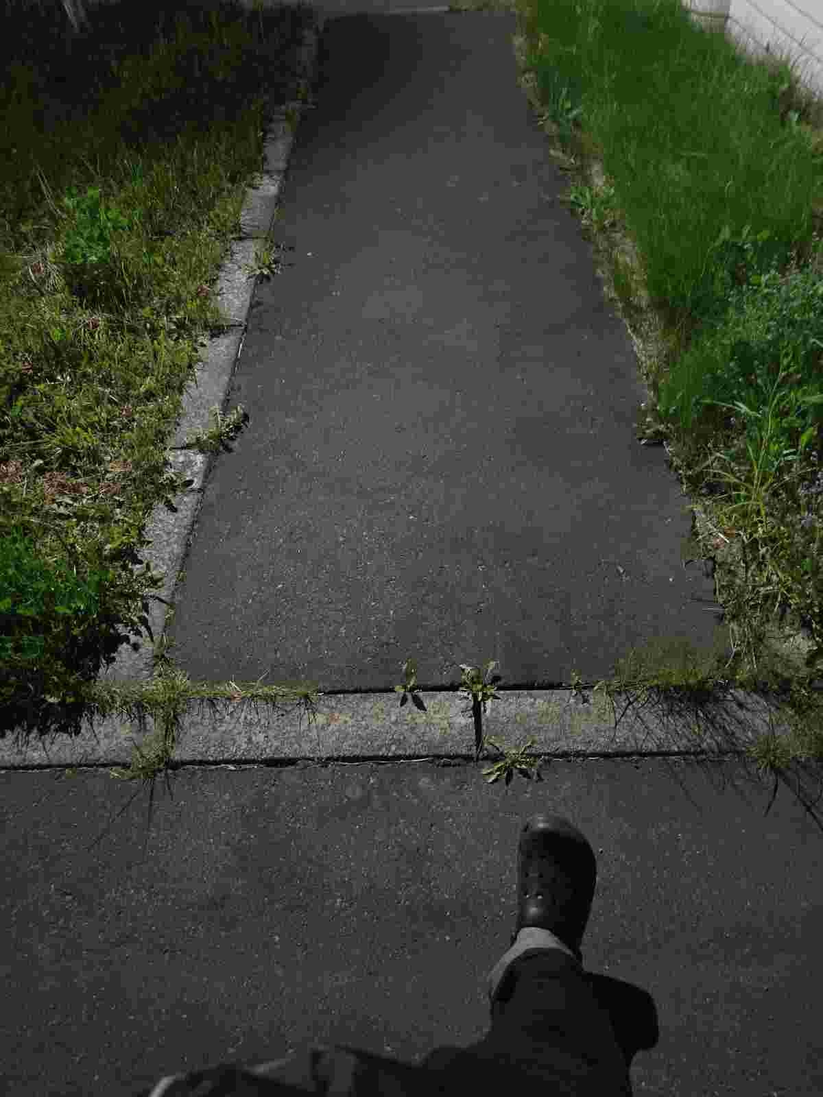 レス7番の画像1