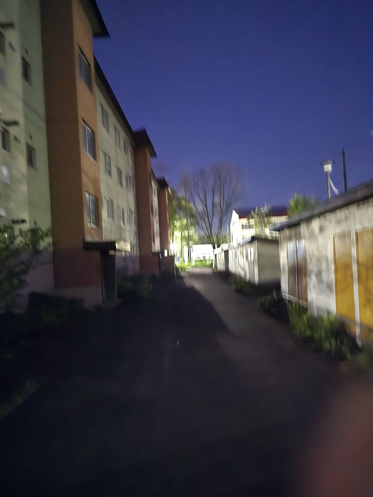 レス47番の画像1