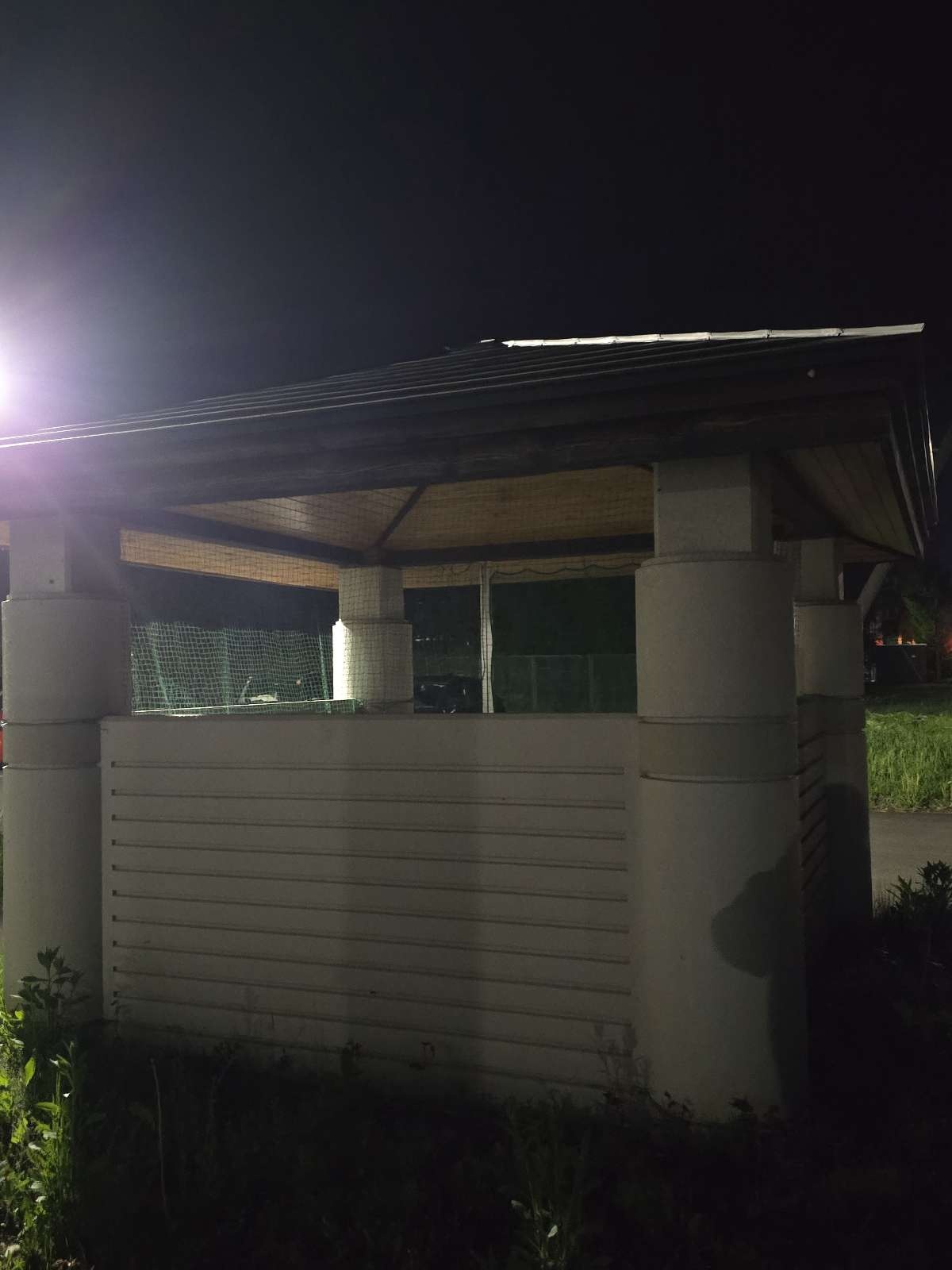 レス19番の画像1