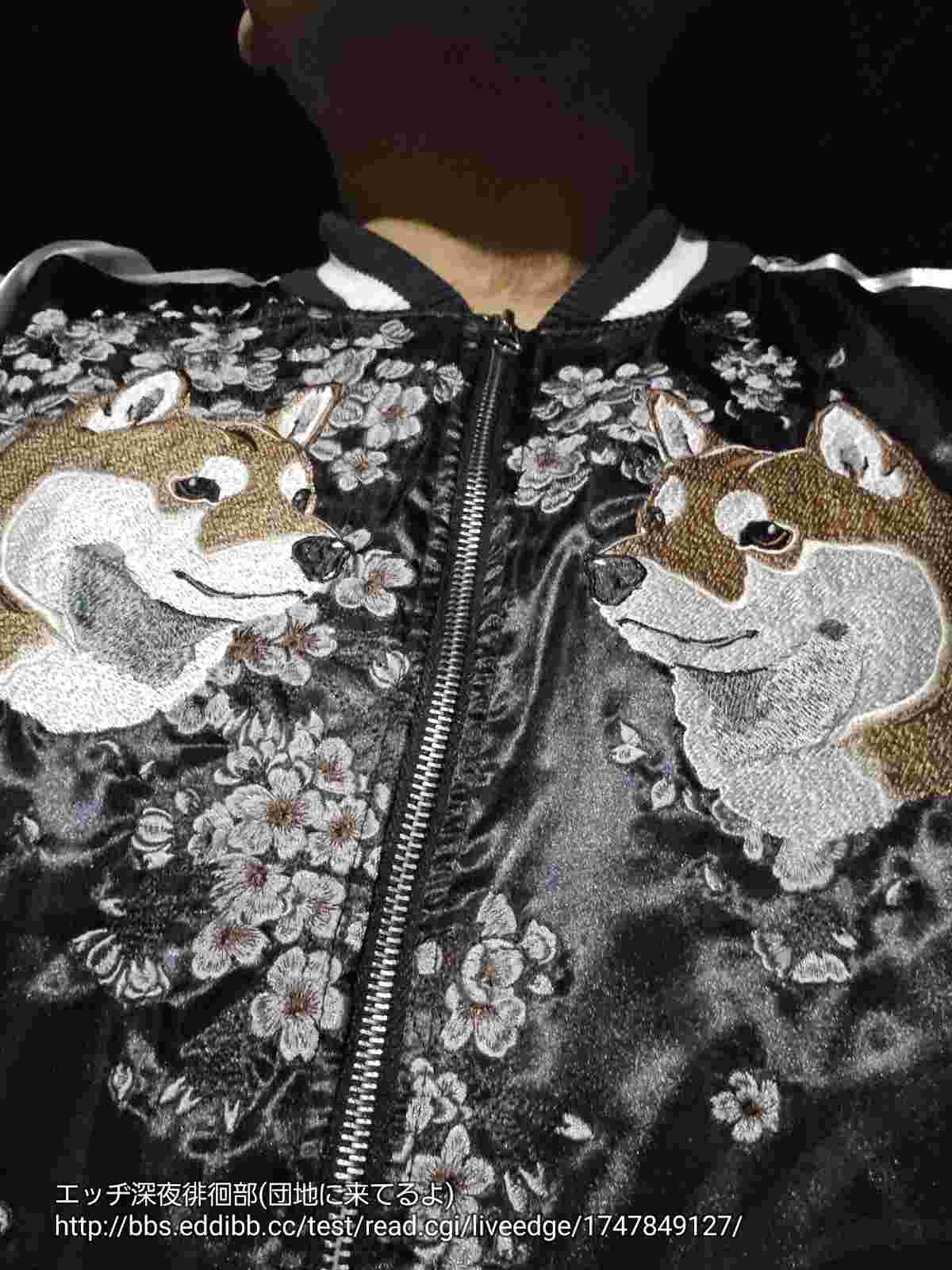 レス41番の画像1