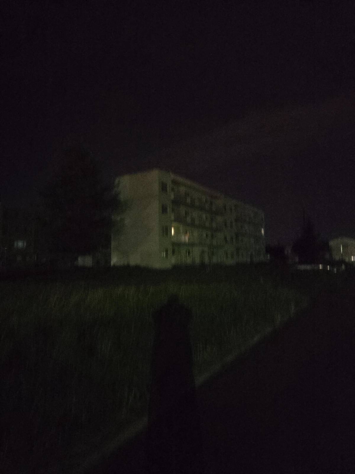 レス3番の画像1