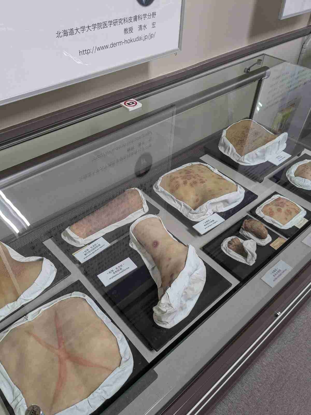 レス46番の画像2