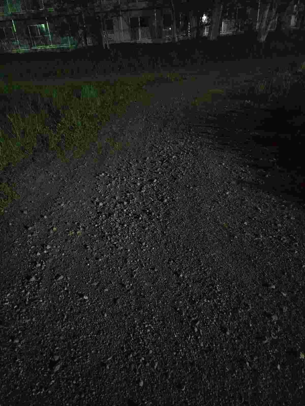 レス31番の画像1