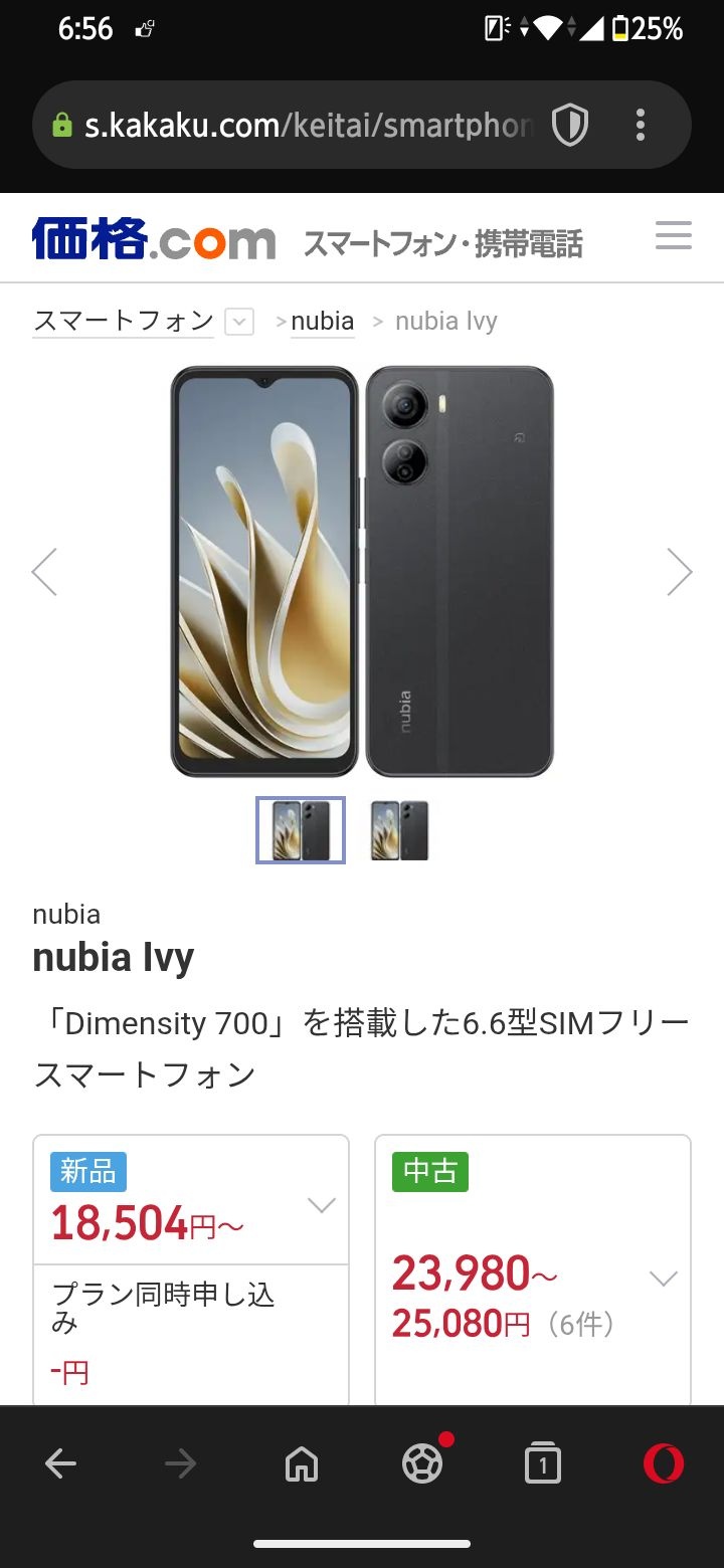 レス30番の画像1