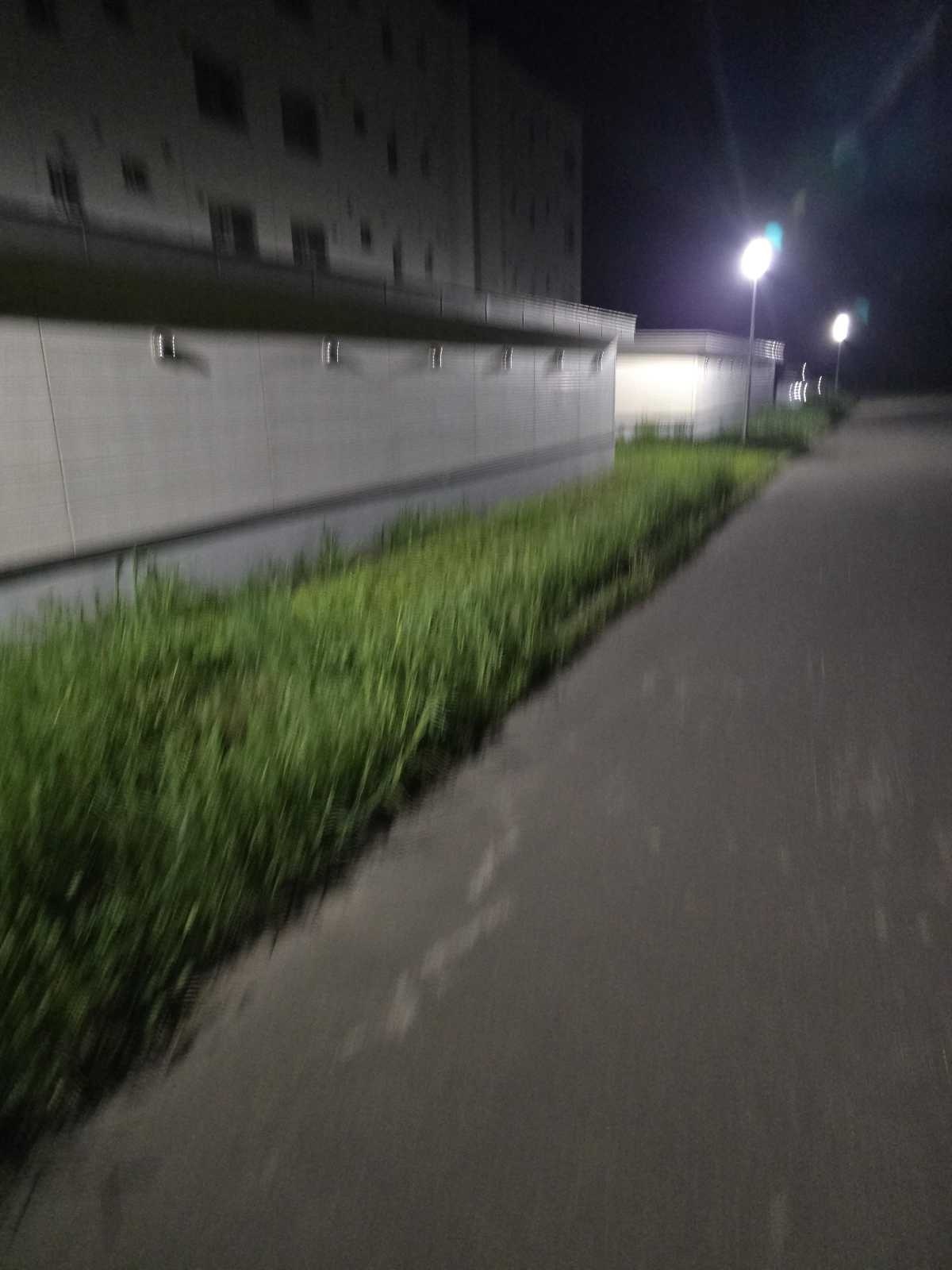 レス22番の画像1