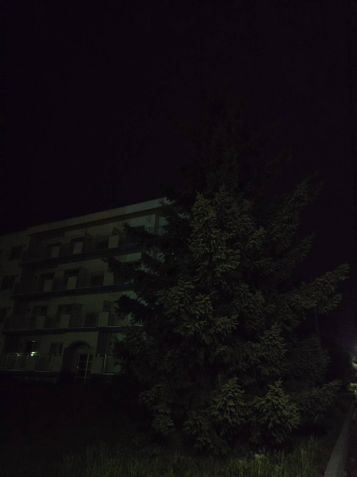 レス3番の画像2