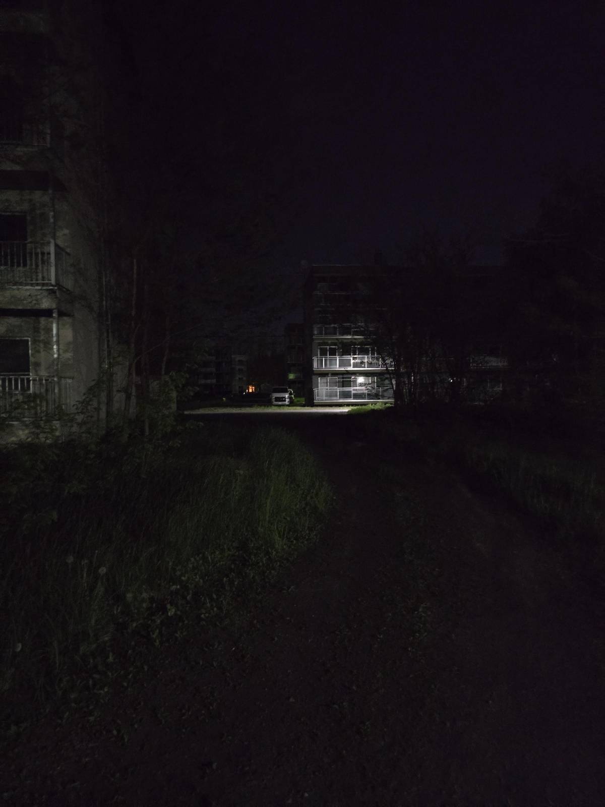 レス35番の画像1