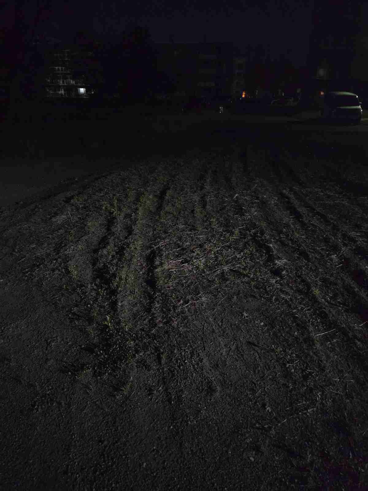 レス62番の画像1