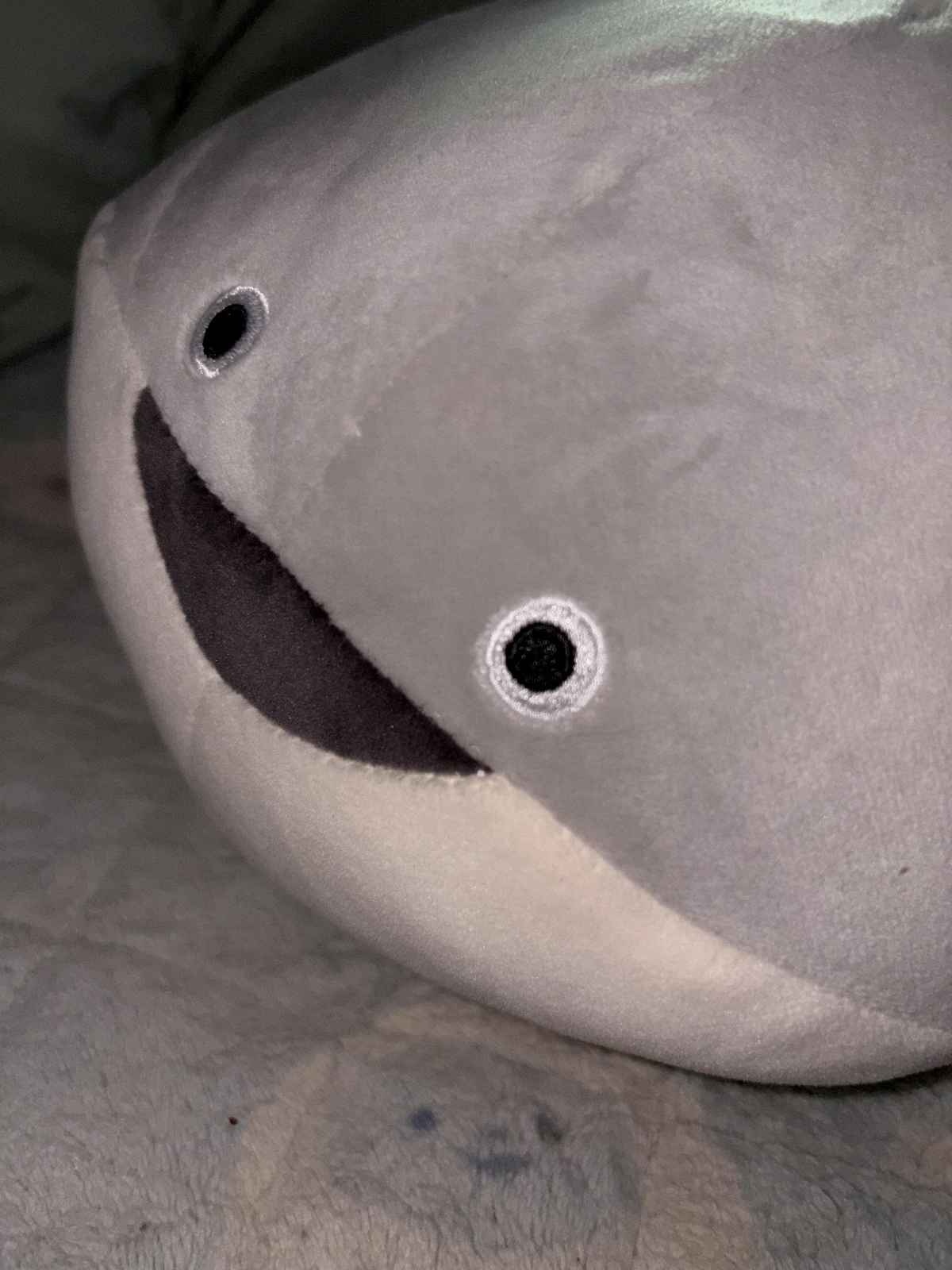 レス24番の画像1