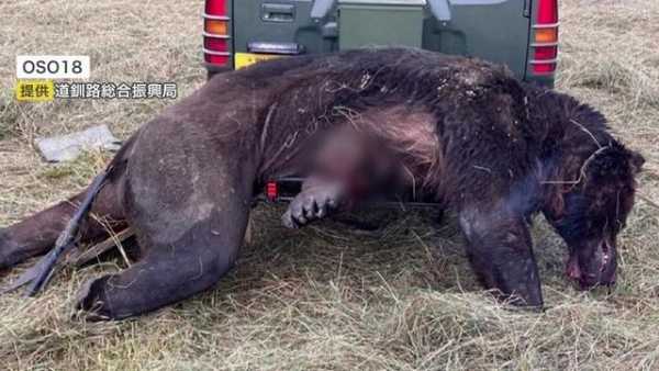 記事サムネイル