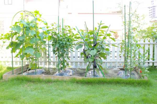 記事サムネイル