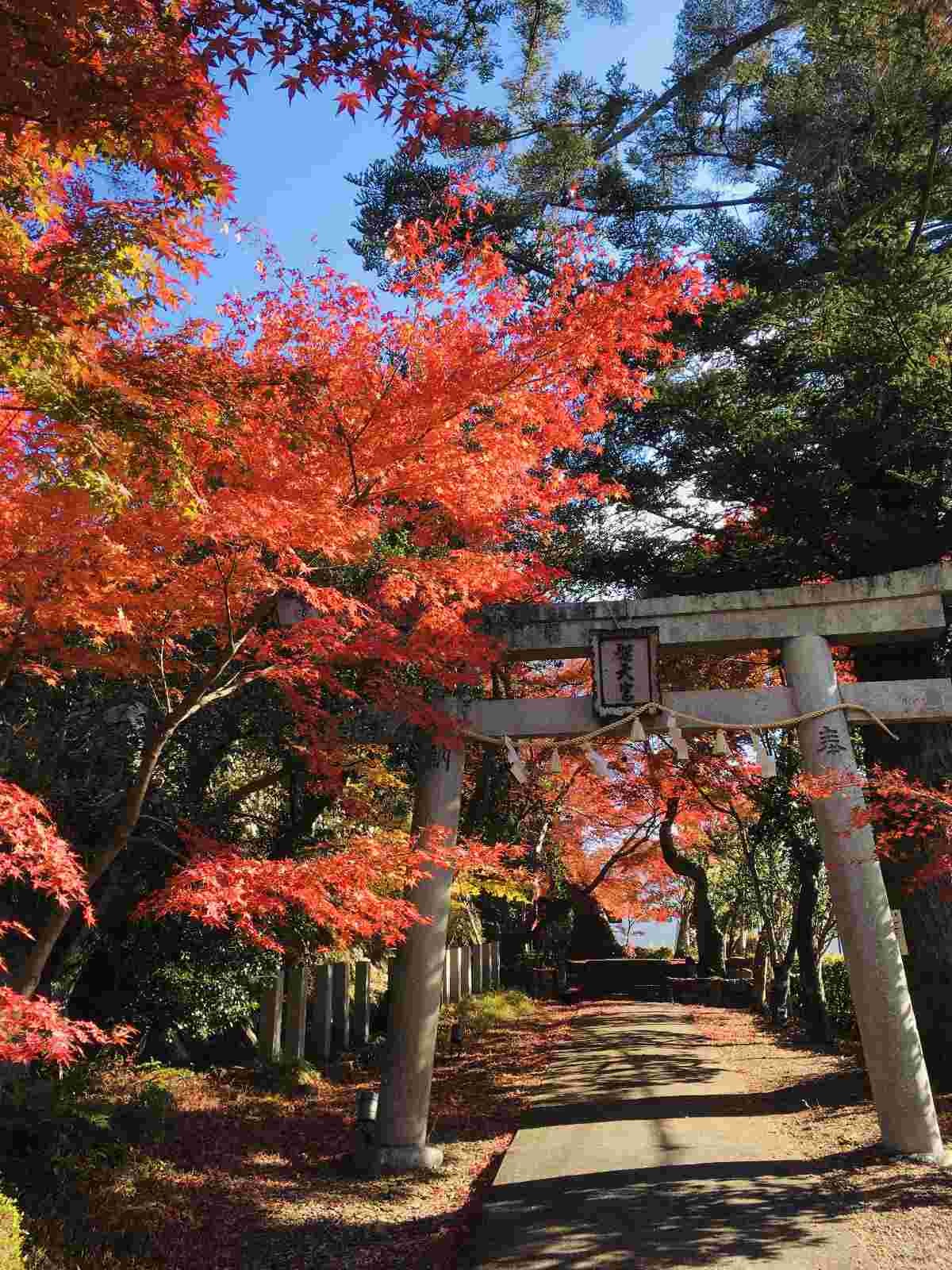 レス29番の画像1