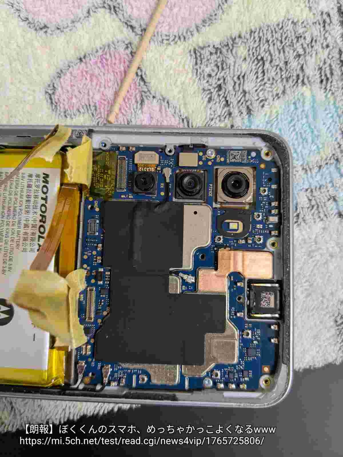 レス28番の画像2