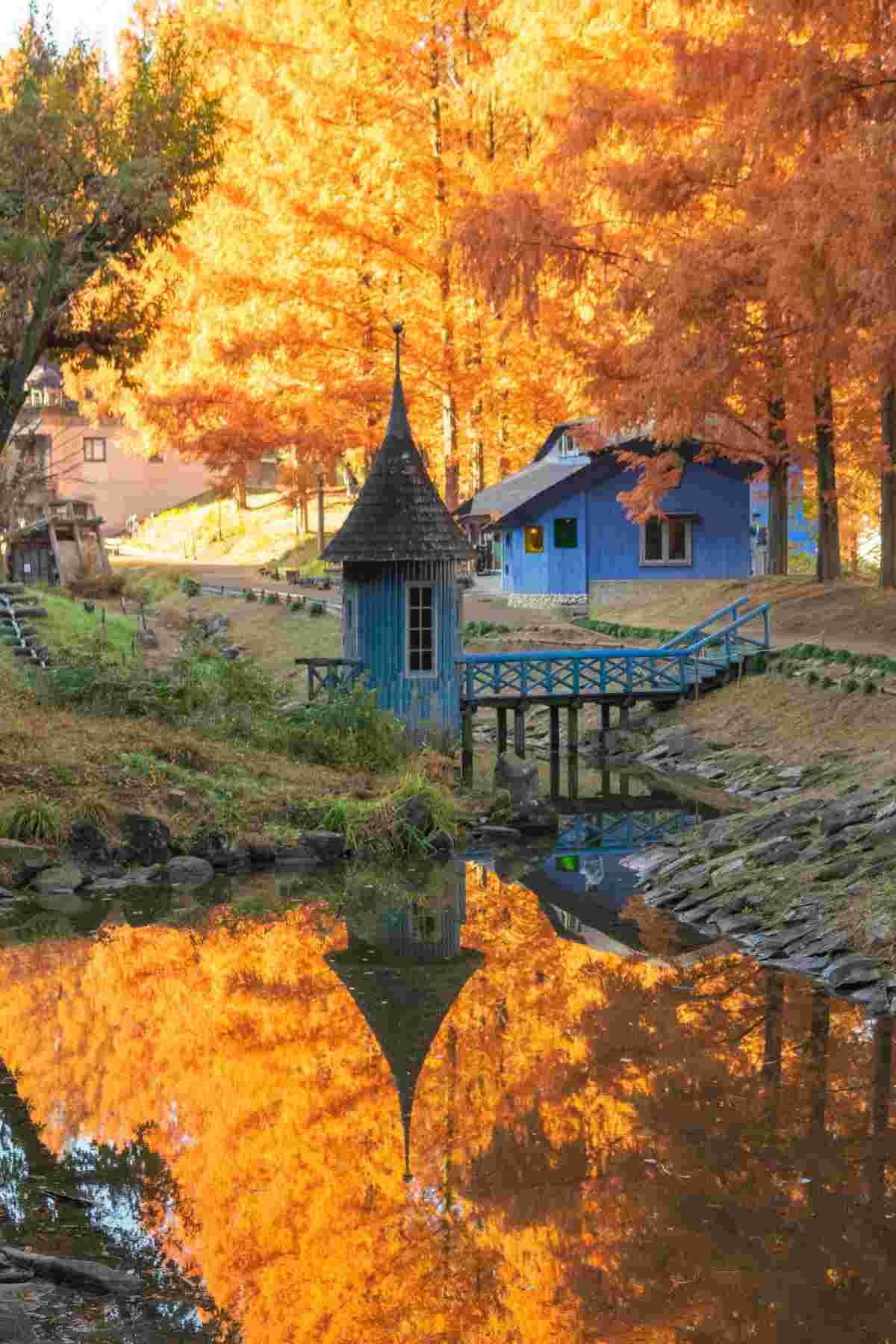 レス10番の画像1