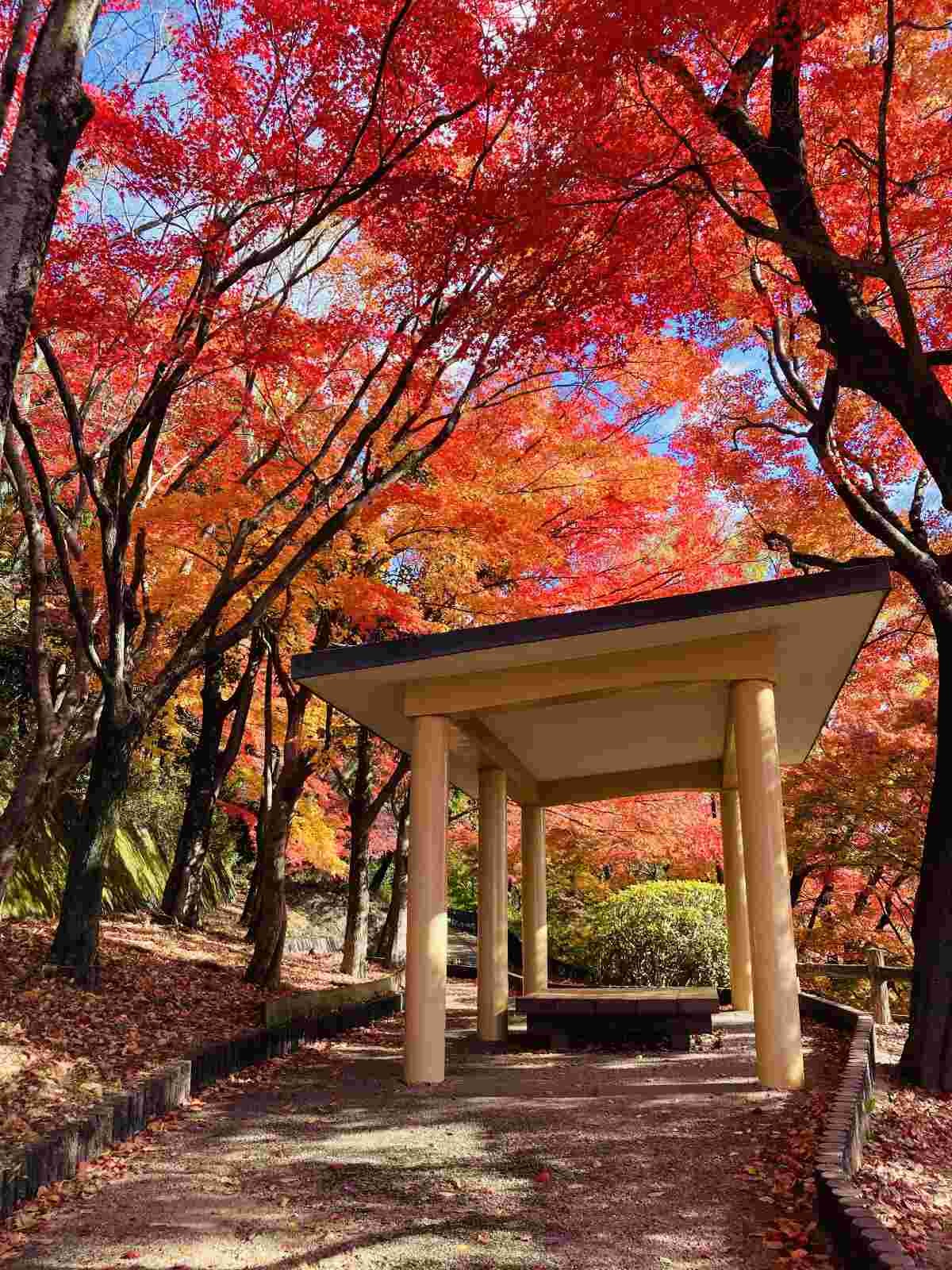 レス11番の画像1