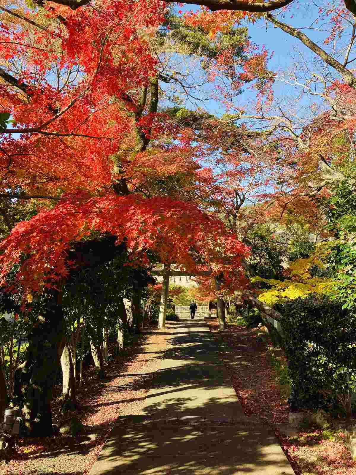 レス18番の画像1