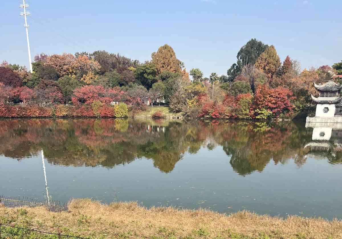 レス5番の画像1