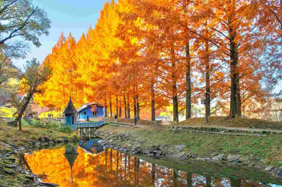 レス6番の画像1