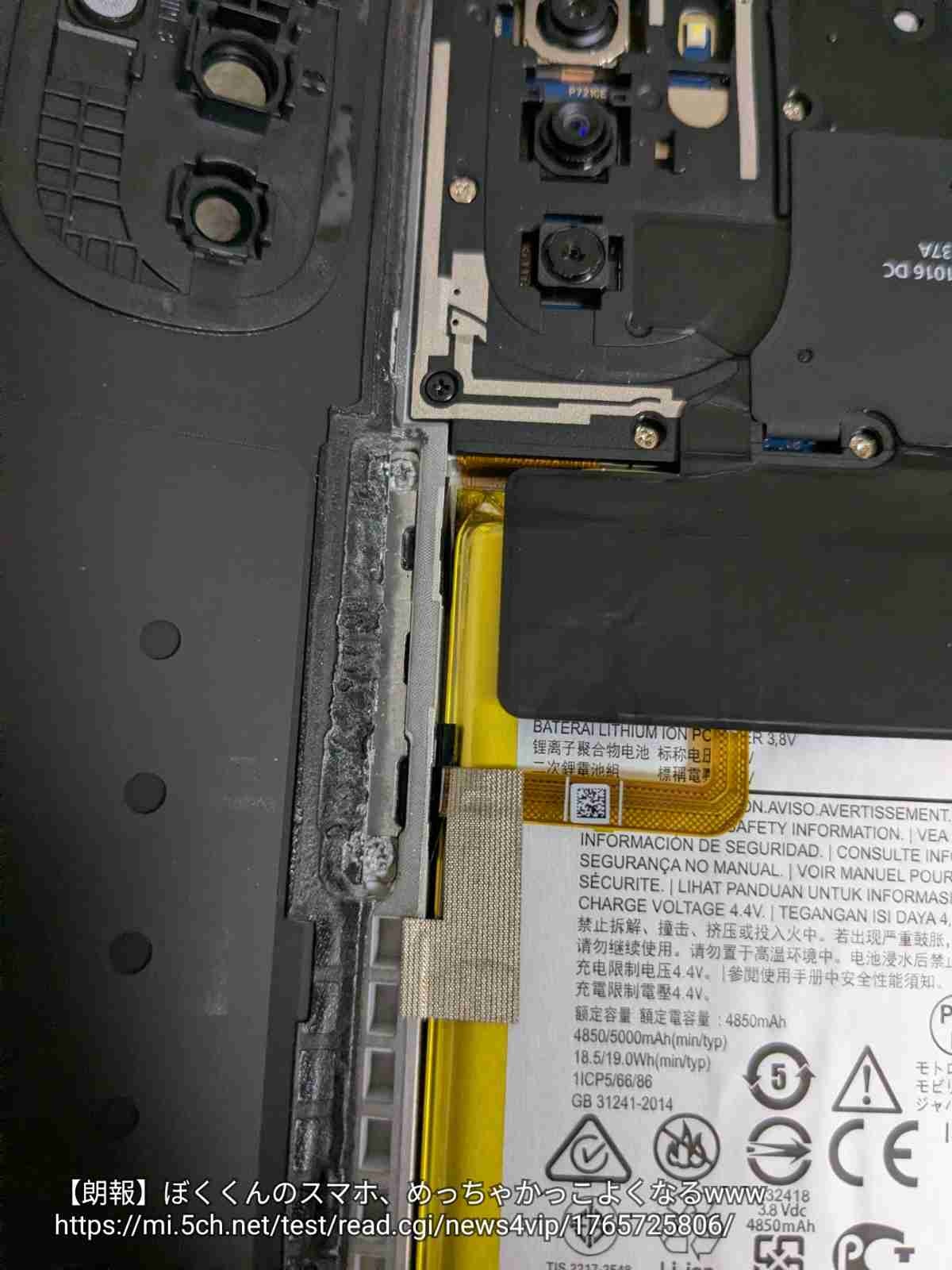 レス28番の画像1