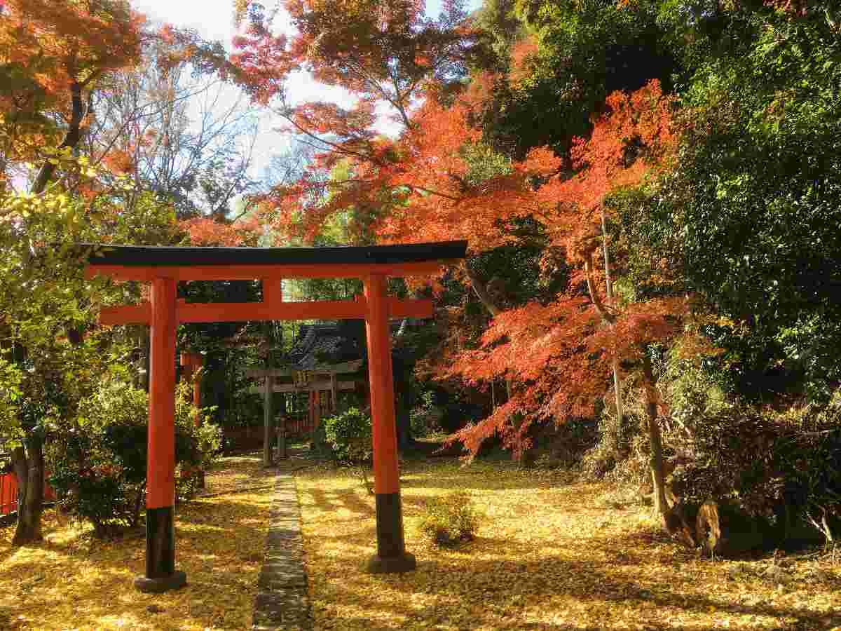 レス33番の画像1