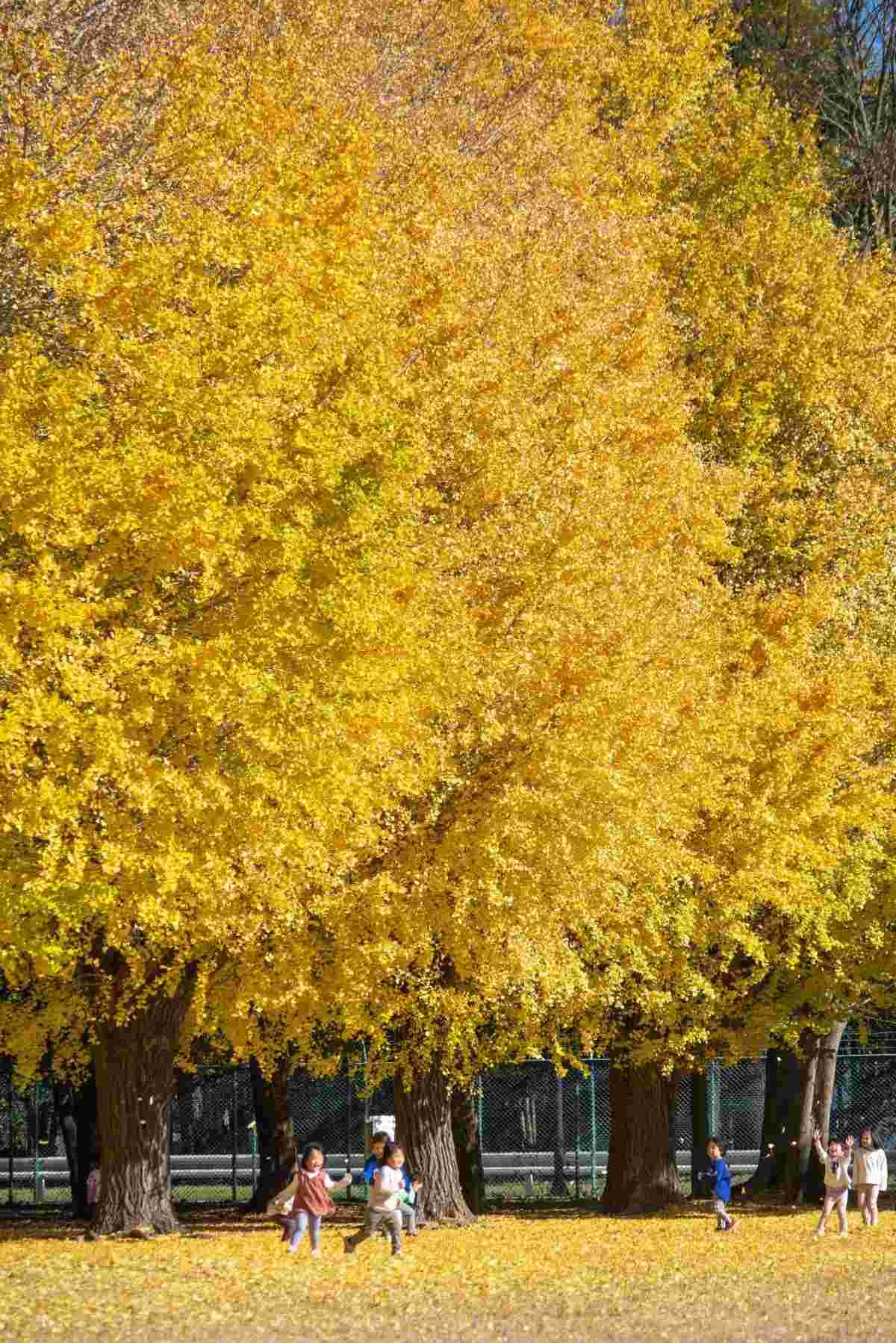 レス22番の画像1