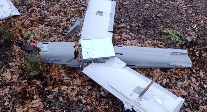 レス16番の画像3