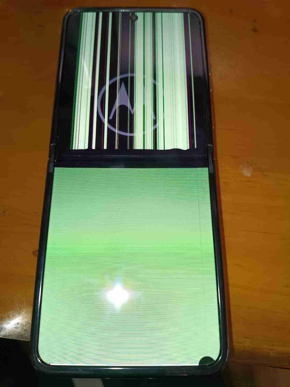 レス28番の画像1