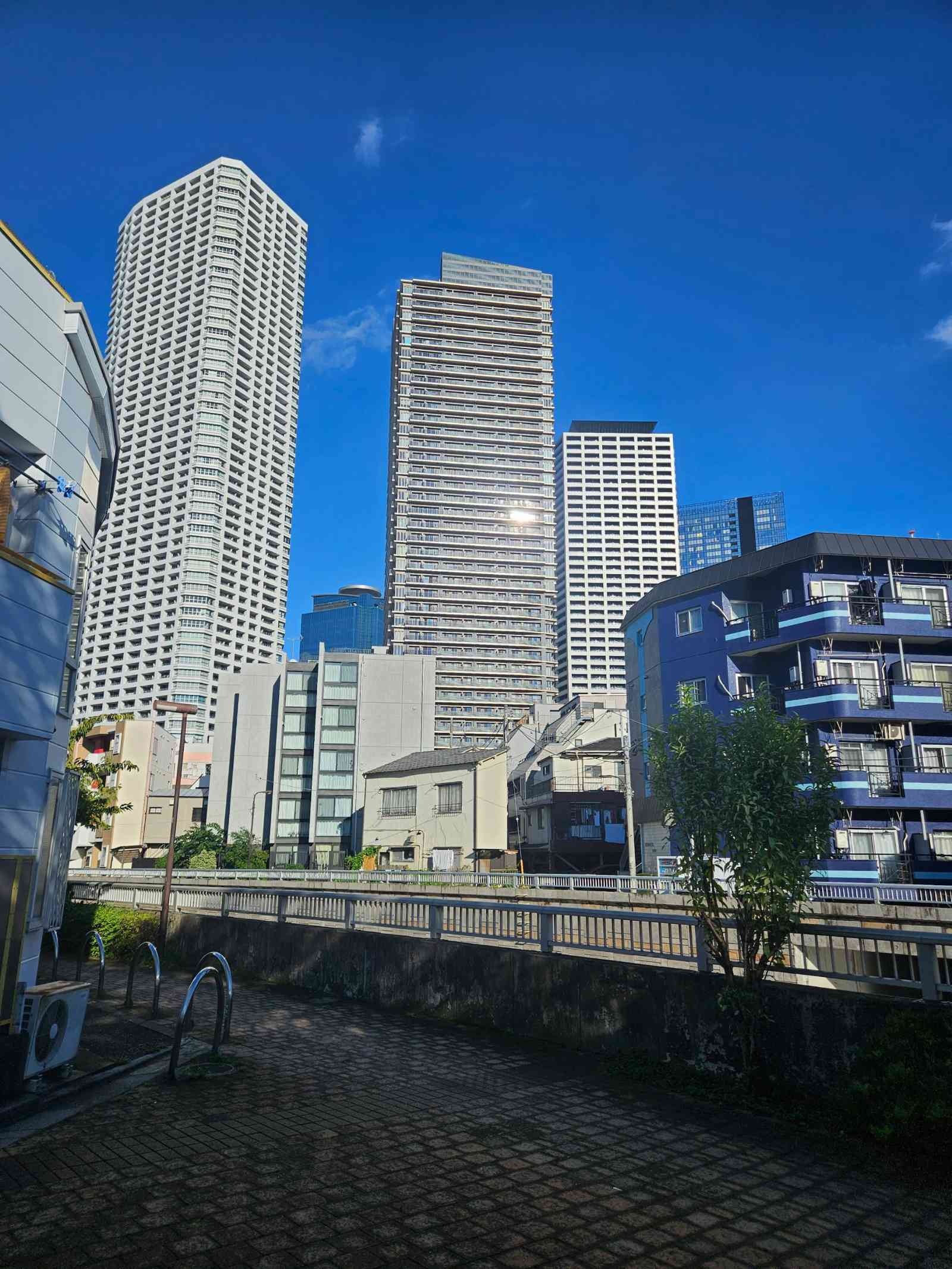 レス6番の画像3